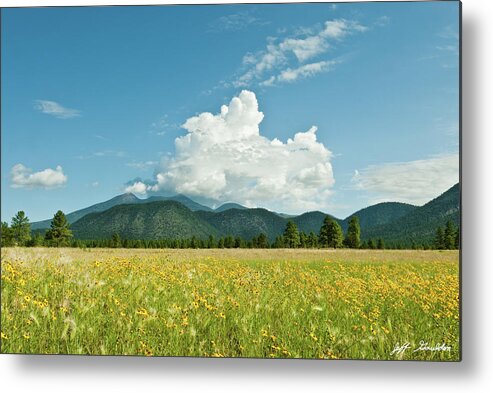 Arizona Metal Print featuring the photograph Meadow of Sunflowers and the San Francisco Peaks by Jeff Goulden