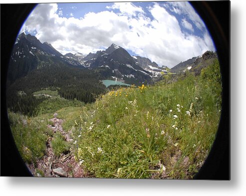 Montana Metal Print featuring the photograph Montana Rolling Wildflowers by Jody Lovejoy