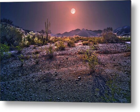 Composite Metal Print featuring the photograph Moonglow by Jim Painter