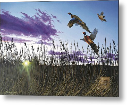 Pheasants Metal Print featuring the painting Morning Glory by Anthony J Padgett