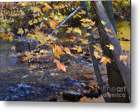 Falls Park Metal Print featuring the photograph Morning Leaves Falls Park Pendleton by Amy Lucid