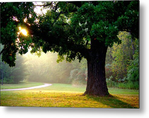 Landscape Metal Print featuring the photograph Morning Sunrise by Linda Mishler