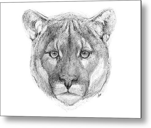 Yellowstone Metal Print featuring the drawing Mountain Lion by George Bumann