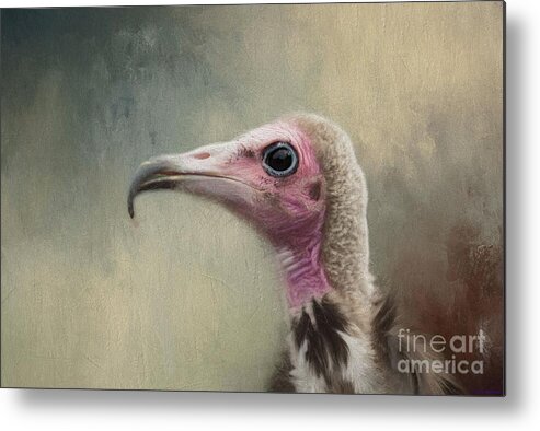 Hooded Vulture Metal Print featuring the mixed media Mr Ugly by Eva Lechner