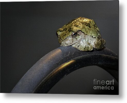 Kansas Metal Print featuring the photograph My Space by Fred Lassmann