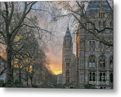 Great Britain Metal Print featuring the photograph Natural History Museum in London by Patricia Hofmeester