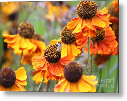 Yellow Metal Print featuring the photograph Nature's Beauty 89 by Deena Withycombe