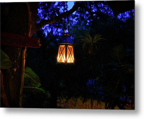 Lantern Metal Print featuring the photograph Night lantern by David Lee Thompson