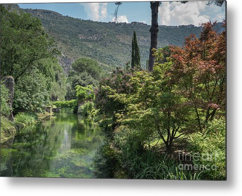 Ninfa Metal Print featuring the photograph Ninfa Garden, Rome Italy 5 by Perry Rodriguez