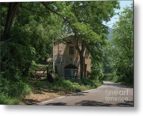 Bamboo Metal Print featuring the photograph Ninfa Garden, Rome Italy 9 by Perry Rodriguez