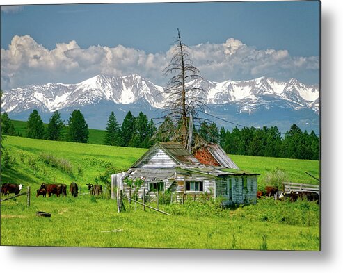 2011 Metal Print featuring the photograph Old Homestead on Daisy Dean Road by Roderick Bley