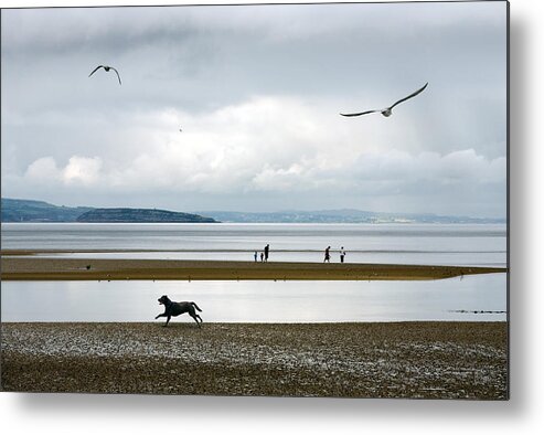 Beach Metal Print featuring the photograph On the Beach by Mal Bray