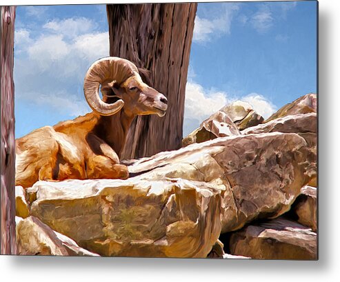 Ram Metal Print featuring the painting On the Rocks by Rick Mosher