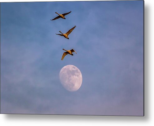 Oregon Metal Print featuring the photograph Over the Moon by Marc Crumpler
