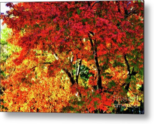 Photography Metal Print featuring the photograph Painted Autumn by Kaye Menner by Kaye Menner