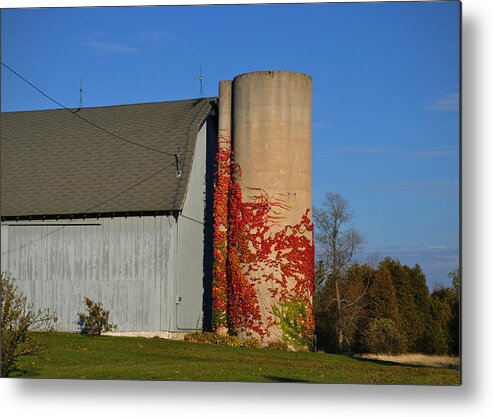 Fall Metal Print featuring the photograph Painted Silo by Tim Nyberg