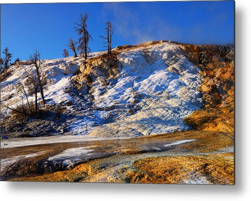 Palette Spring Metal Print featuring the photograph Palette Spring by Greg Norrell