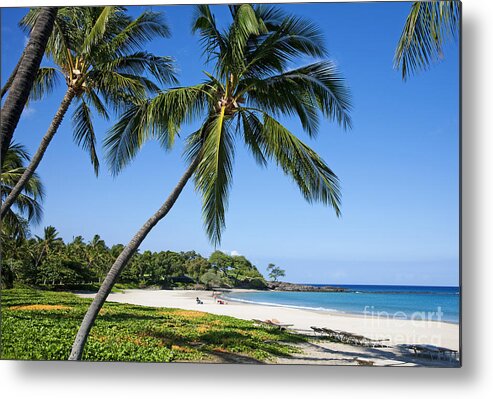 Aqua Metal Print featuring the photograph Palms over Beach II by Ron Dahlquist - Printscapes