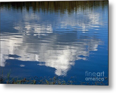 Landscape Metal Print featuring the photograph Peace by Kathy McClure