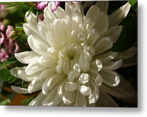 Flower Metal Print featuring the photograph Petals Profusion by Cricket Hackmann