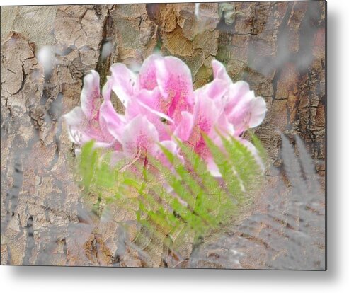 Pink Metal Print featuring the photograph Pink Flower Bark by Amanda Eberly