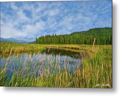 Beauty In Nature Metal Print featuring the photograph Plummer Creek Marsh by Jeff Goulden