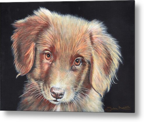 Labrador Metal Print featuring the painting Portrait of Toby by John Neeve