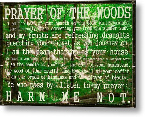 Prayer Metal Print featuring the photograph Prayer of the Woods 2.0 by Michelle Calkins