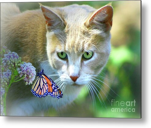 Cat Metal Print featuring the photograph Pretty Cat and Monarch Butterfly by Stephanie Laird