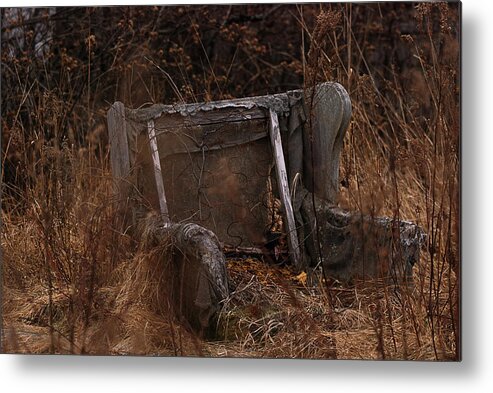 Chair Metal Print featuring the photograph Putting Down Roots by Sue Capuano
