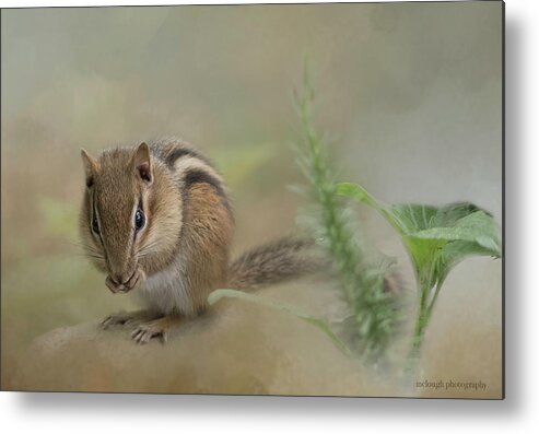  Nature's Critters Metal Print featuring the photograph Quiet Lunch by Mary Clough