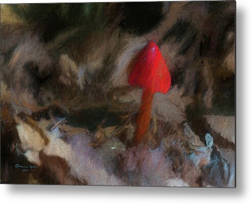 Poison Metal Print featuring the photograph Red Forest Mushroom by Marvin Spates