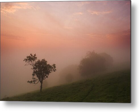 Misty Metal Print featuring the photograph Red Mist on the South Downs by Hazy Apple