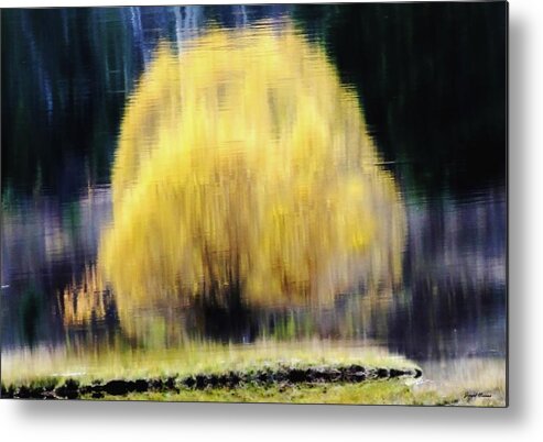 Yellow Metal Print featuring the photograph Reflections by Joseph Noonan
