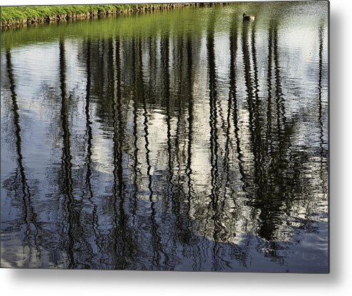 Sky Metal Print featuring the photograph Reflections of Clouds and Trees by Roberta Kayne