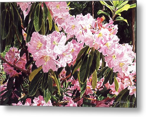 Flowers Metal Print featuring the painting Rhodo Grove by David Lloyd Glover