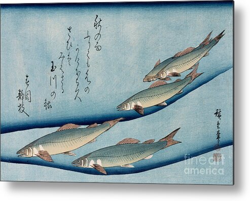 Trout Metal Print featuring the painting River Trout by Hiroshige