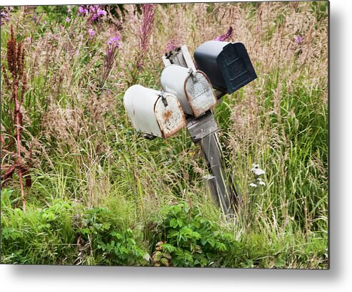 Rural Delivery No 4 Metal Print featuring the photograph Rural Delivery No 4 by Phyllis Taylor