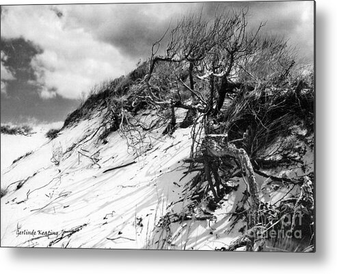 Black-white Metal Print featuring the photograph Sand Dune #2 by Gerlinde Keating