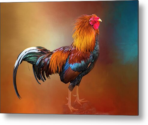 Rooster Metal Print featuring the photograph San Juan Rooster by Denise Saldana