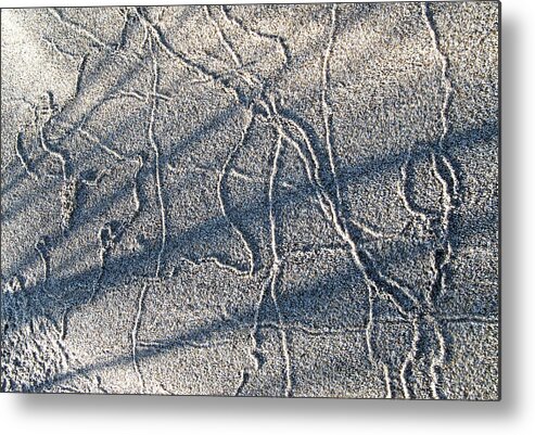 Outdoors Metal Print featuring the photograph Sandy Bug Trails by Doug Davidson