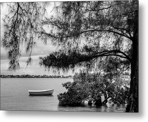 Photo For Sale Metal Print featuring the photograph Sarasota Bay View by Robert Wilder Jr