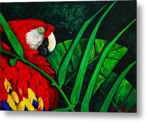 Birds Metal Print featuring the painting Scarlet Macaw head study by Dana Newman