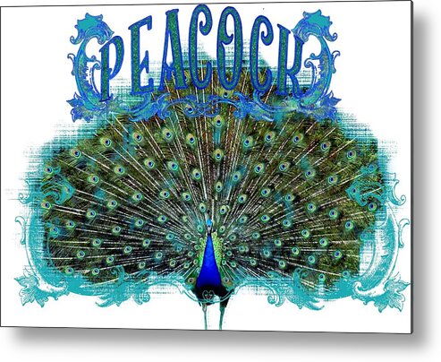 Peacock Metal Print featuring the painting Scroll Swirl Art Deco Nouveau Peacock w Tail Feathers Spread by Audrey Jeanne Roberts