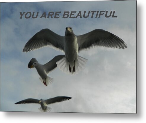 Gallery Of Hope Metal Print featuring the photograph Seagulls You Are Beautiful by Gallery Of Hope 