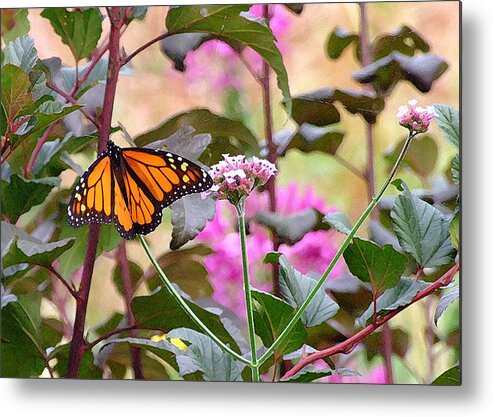 Monarch Butterfly Metal Print featuring the photograph September Monarch by Janis Senungetuk
