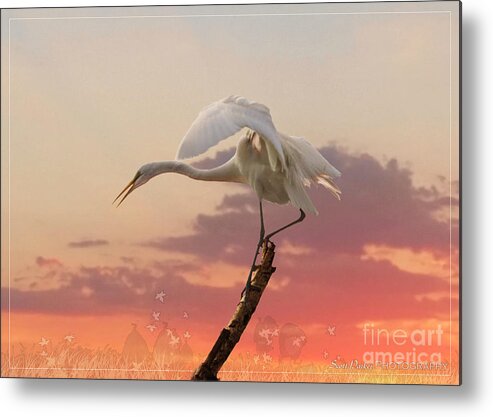 Artworks And Abstracts Metal Print featuring the photograph Sepulveda Basin Crane 2 by Scott Parker