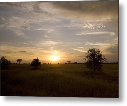 Landscapes Metal Print featuring the photograph Serengeti sunset by Patrick Kain