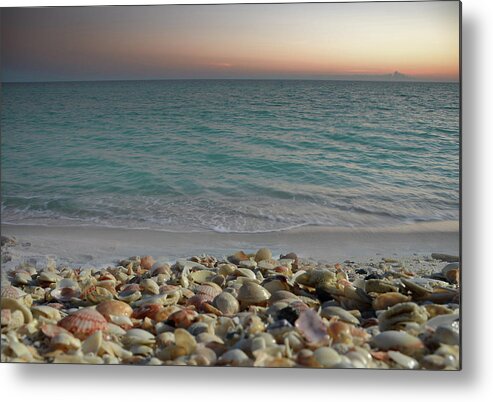 Navarre Metal Print featuring the photograph Shells on the Shore by Renee Hardison