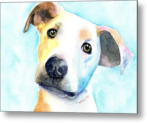 Dog Metal Print featuring the painting Short Hair White and Brown Dog by Carlin Blahnik CarlinArtWatercolor